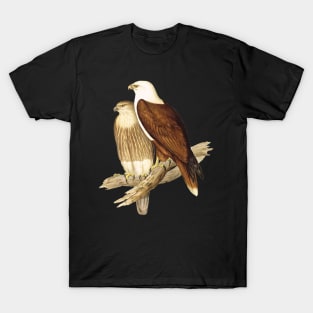 White Breasted Sea Eagle T-Shirt